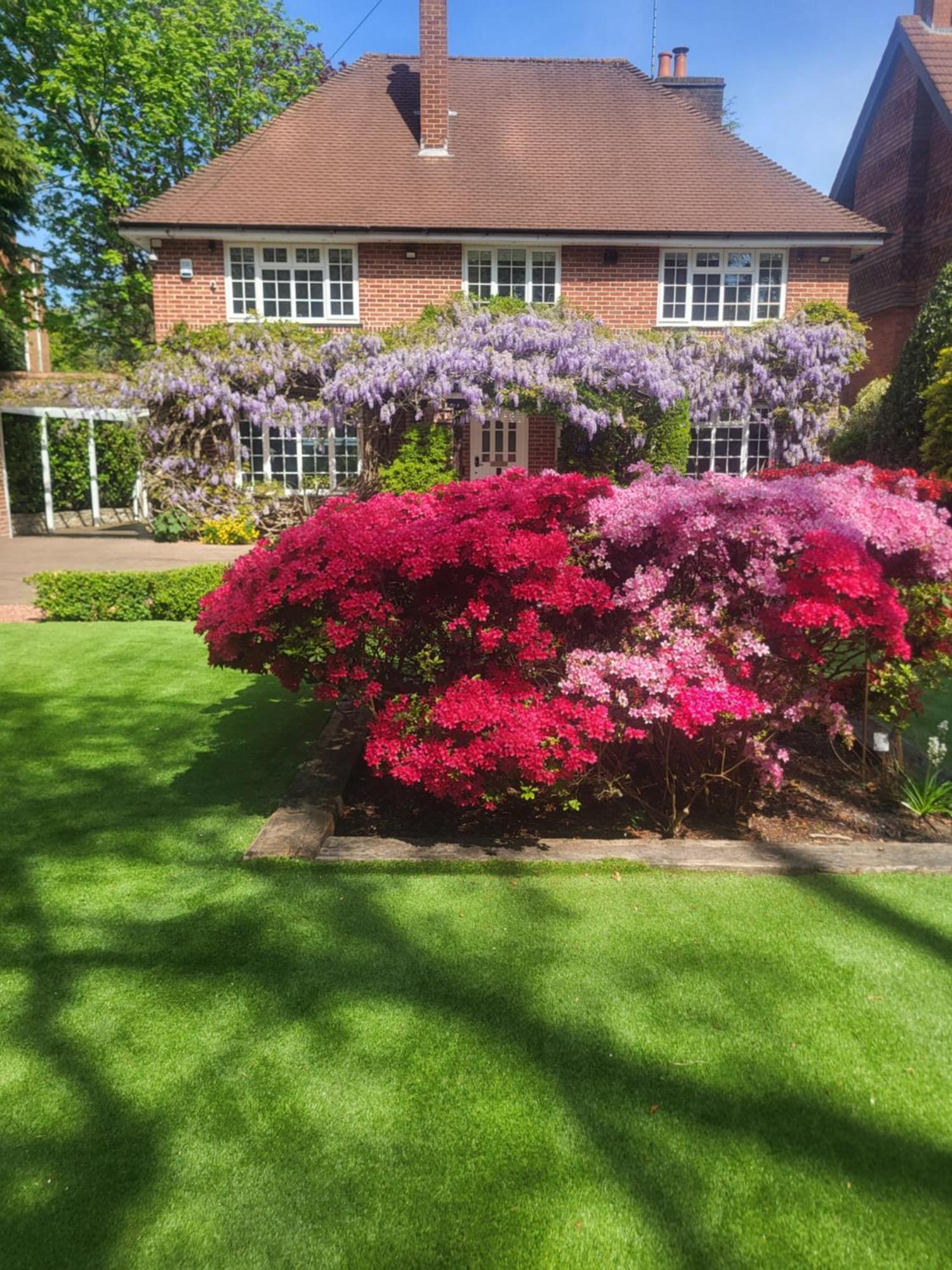Little Robin Gate - Free Parking - Central - 10 Min Walk To Train Station Bournemouth Exteriör bild